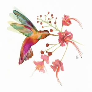 Hummingbird Love (flor composta)