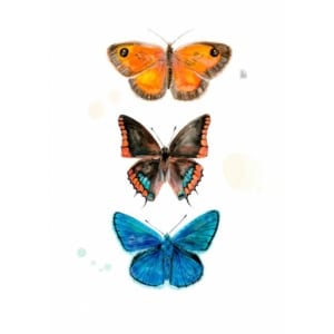 Tres Papallones