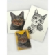 Pack Gatos ilustres