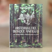 Disseny de la coberta "historias del bosque antiguo"