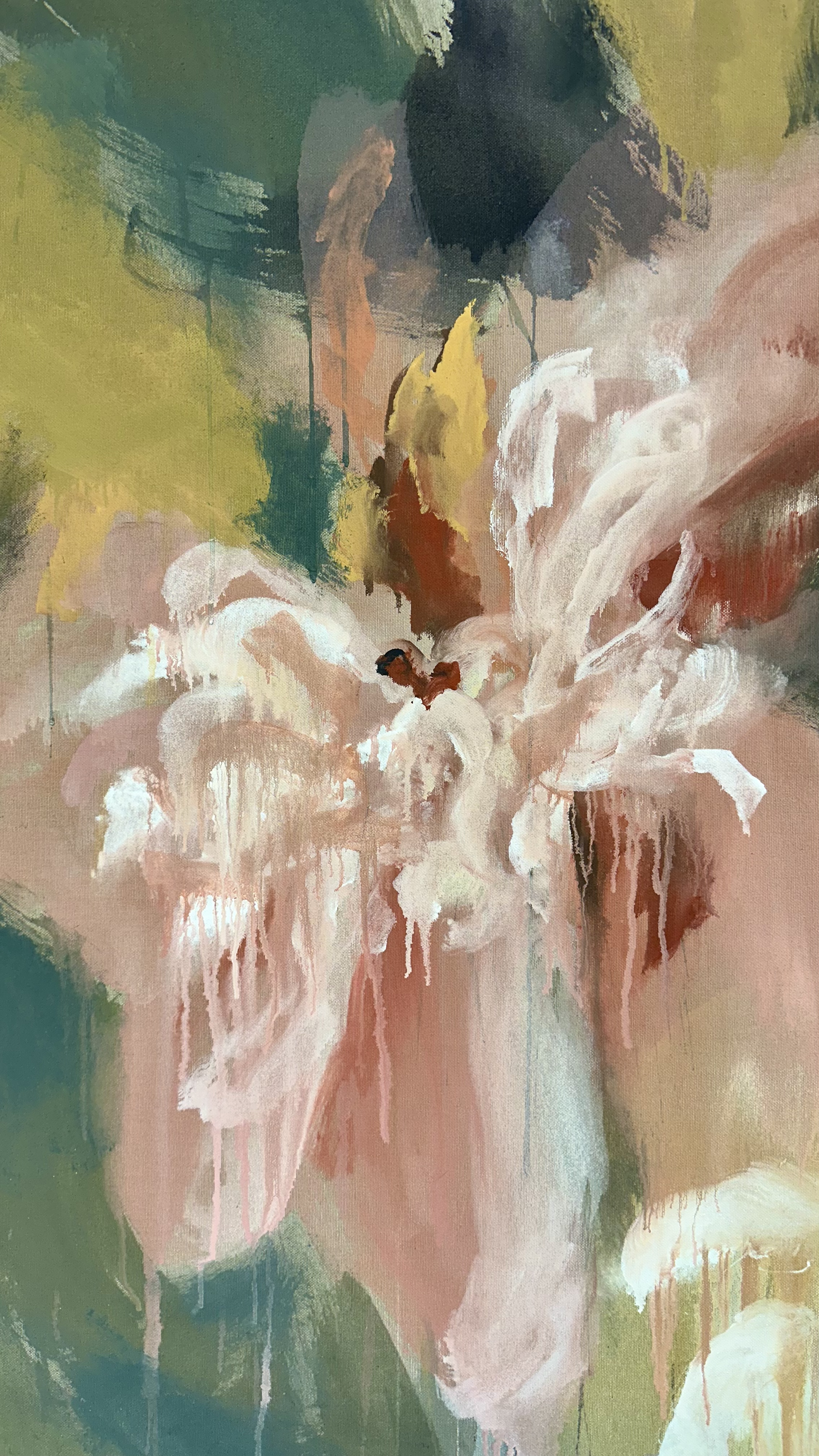 Free Sauvage Paeonia